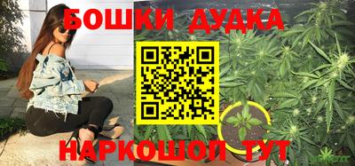 ПСИЛОЦИБИНОВЫЕ ГРИБЫ Моздок