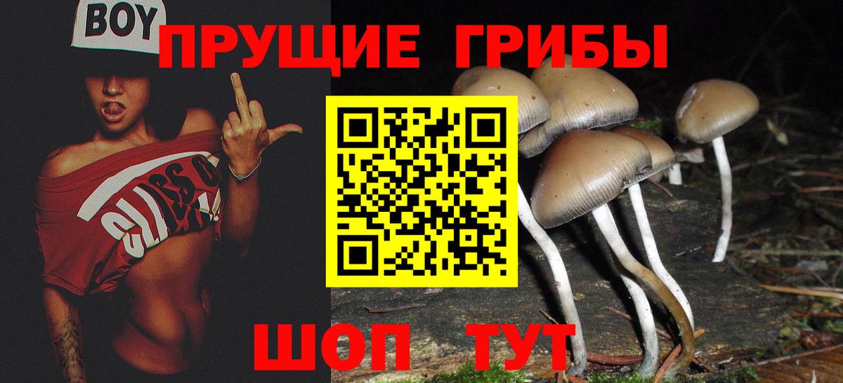 Галлюциногенные грибы MAGIC MUSHROOMS Элиста