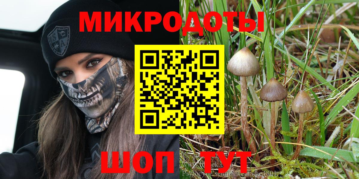 даркнет сайт  Псилоцибиновые грибы мухоморы  Вход с VPN  Галлюциногенные грибы мухоморы  Элиста 